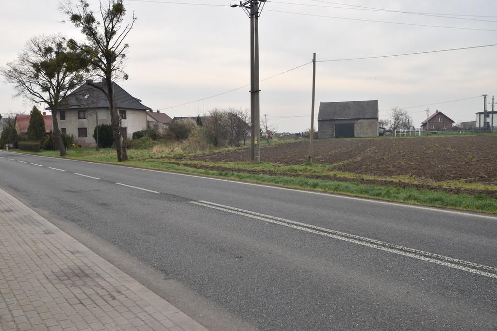 Zdjęcie 3