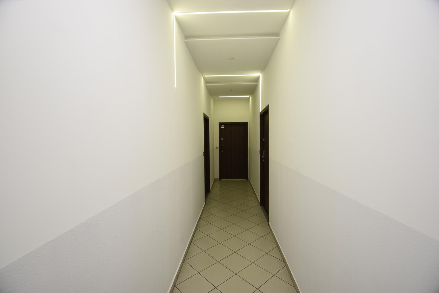 Zdjęcie 8