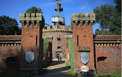Zdjęcie 8