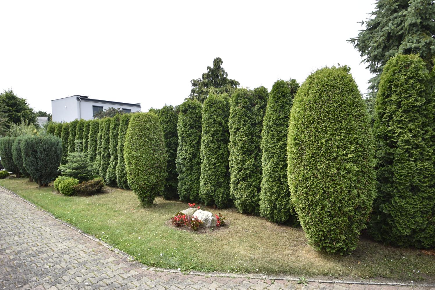 Zdjęcie 14