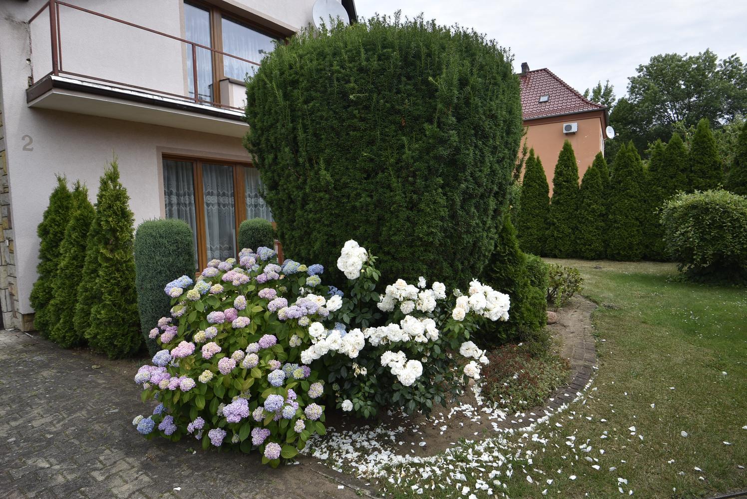 Zdjęcie 15
