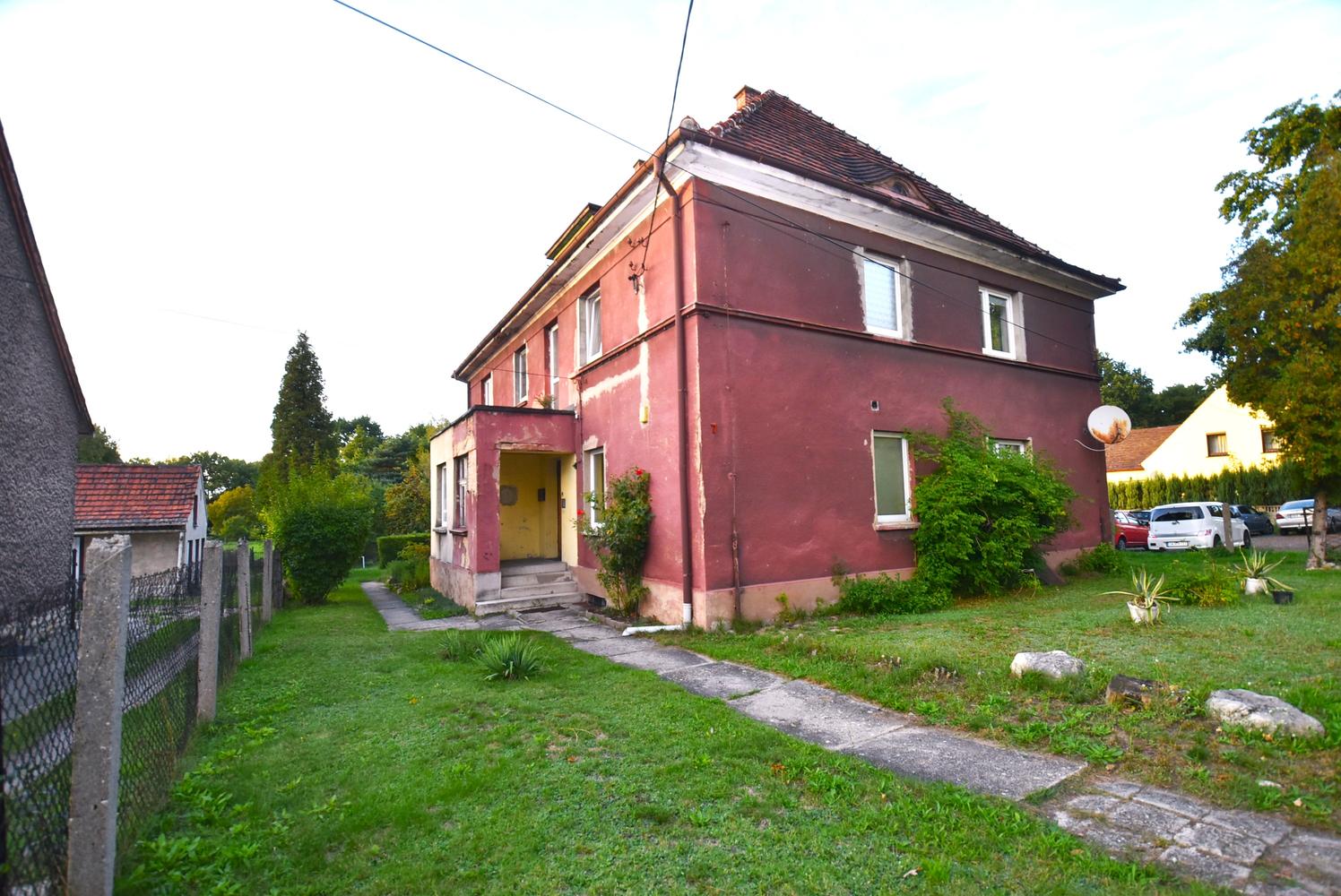 Zdjęcie 11