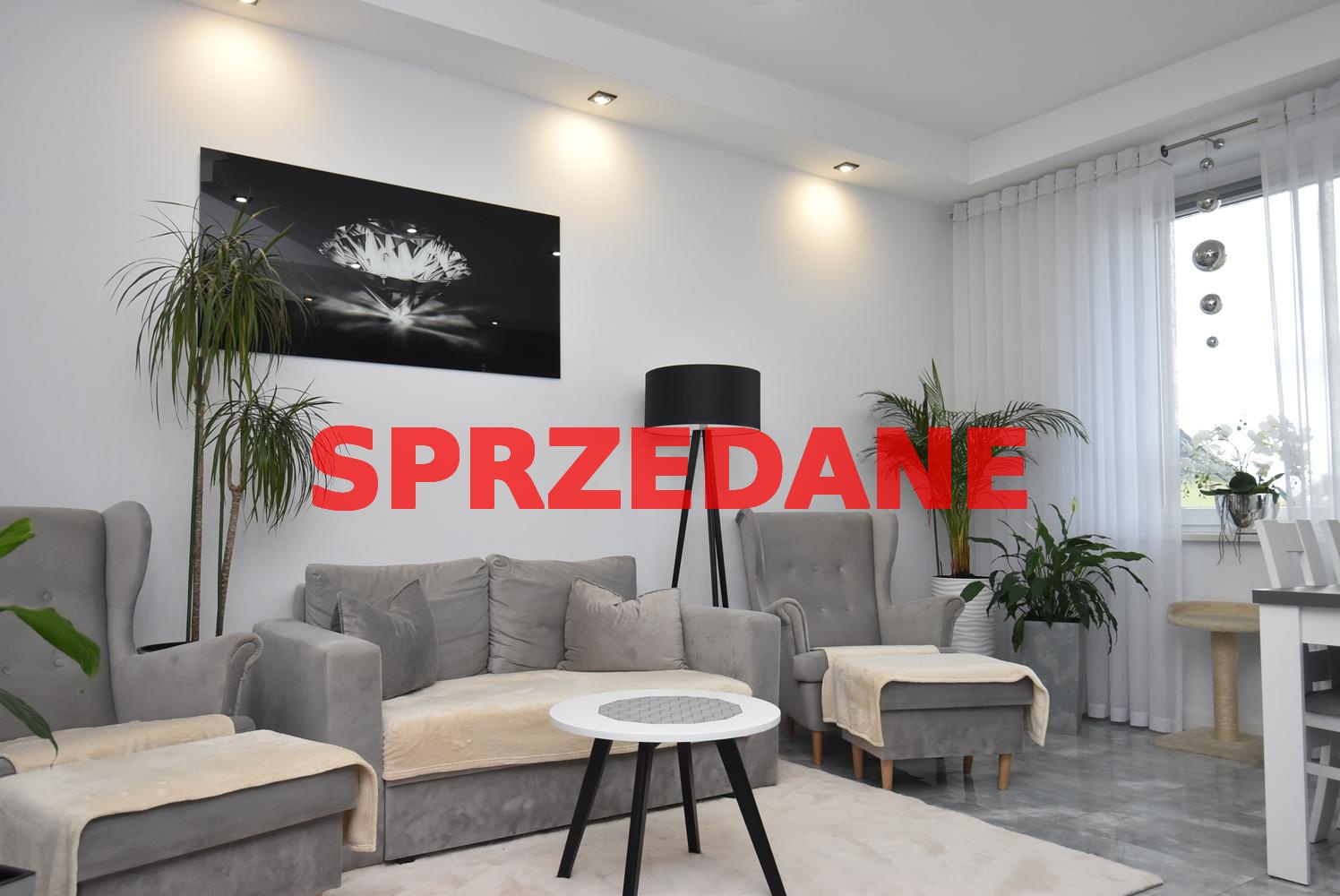 Zdjęcie oferty