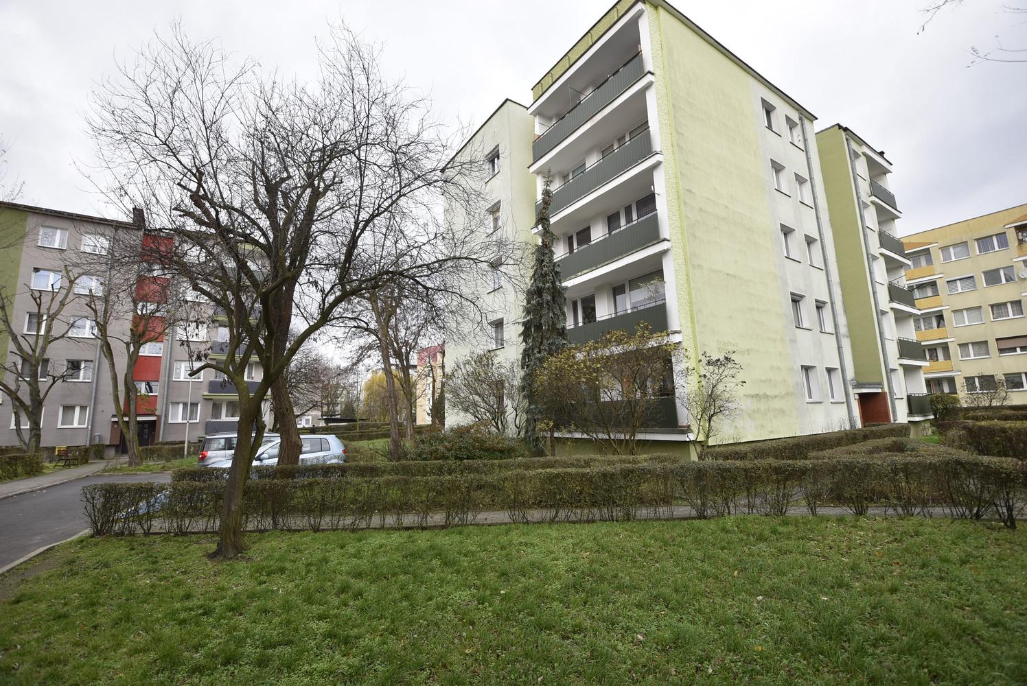 Zdjęcie 10