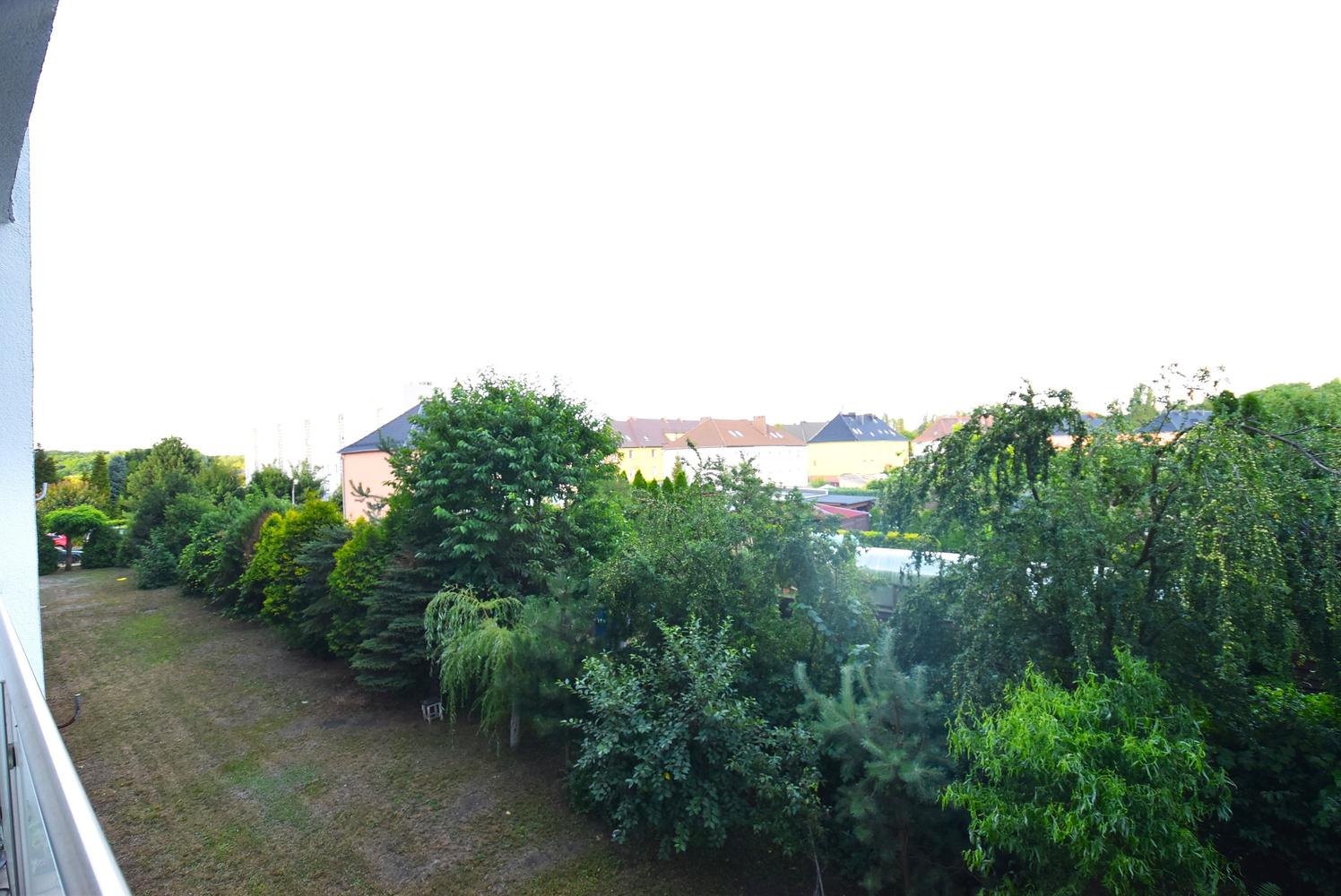 Zdjęcie 8