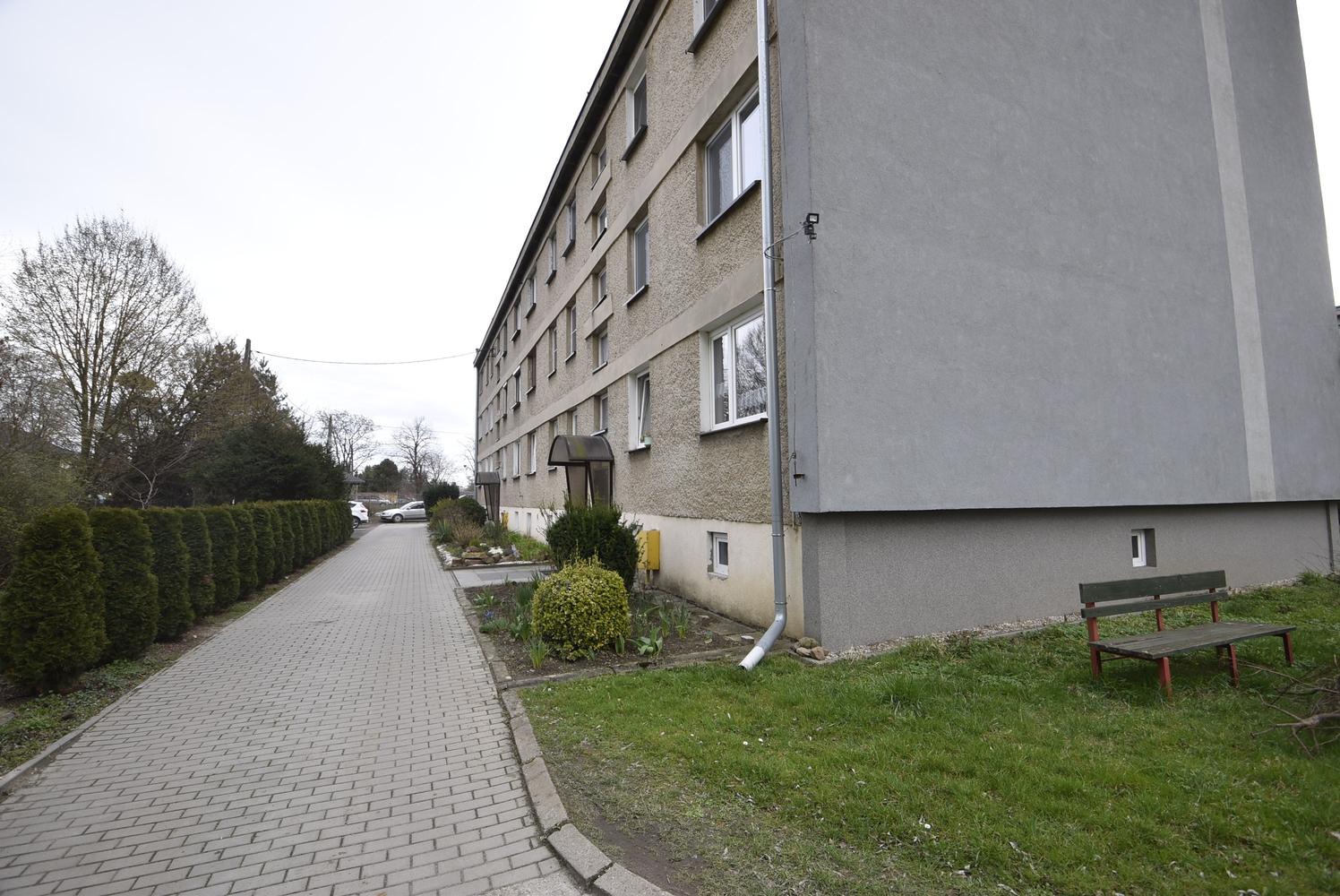 Zdjęcie 7